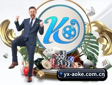 aoke APP 深度功能